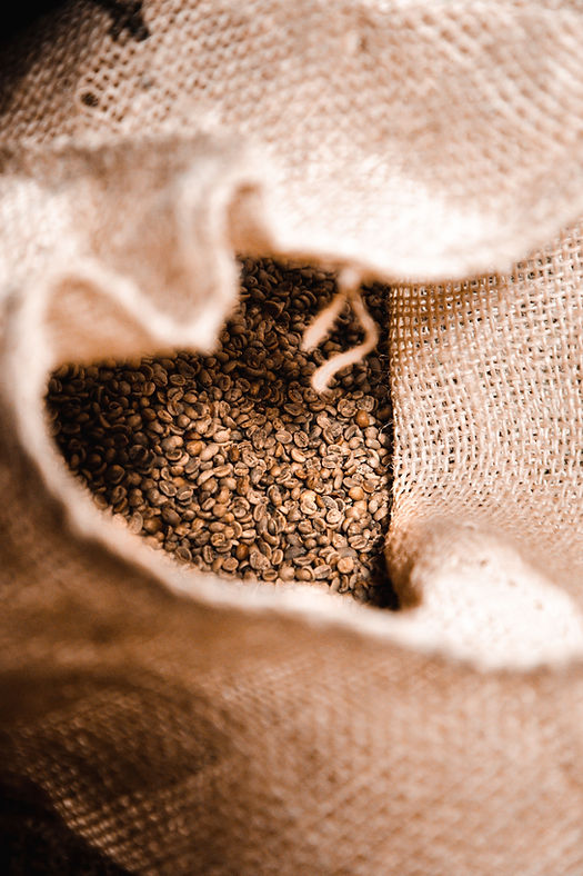 A Shift in Focus: Gold Rush Coffee Embraces Direct-to-Consumer Strategies